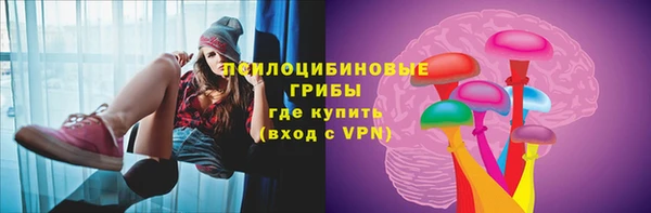 дурь Балахна