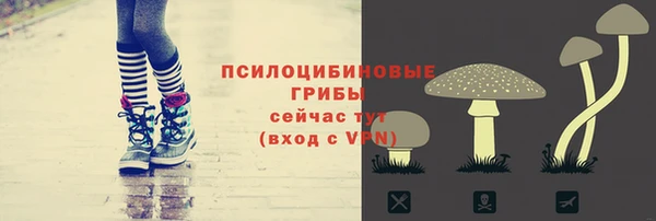 спайс Баксан