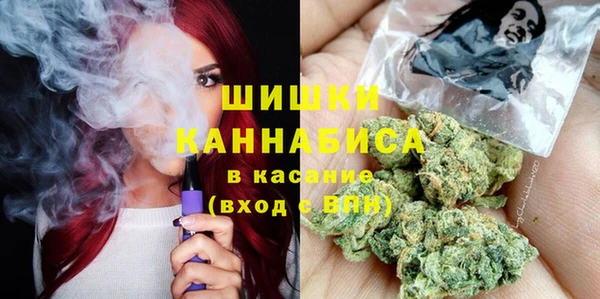 Альфа ПВП Осинники
