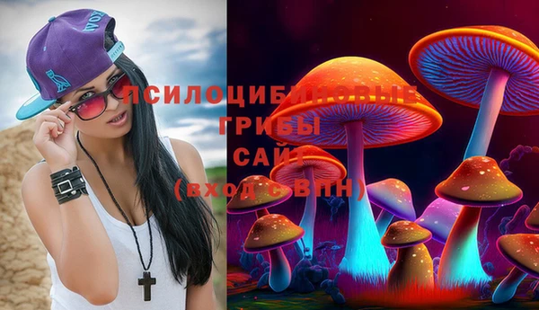 дурь Балахна